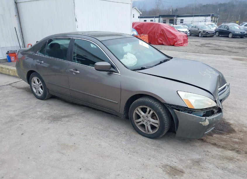 2006 Honda Accord 2.4 EX (VIN 1HGCM56786A071535) main photo