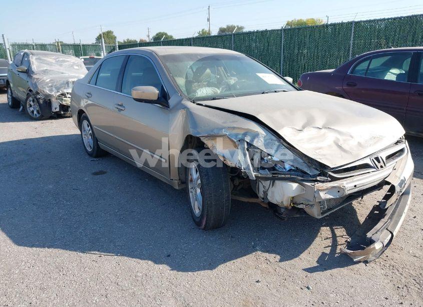 2006 Honda Accord 2.4 EX (VIN 1HGCM56806A088919) main photo