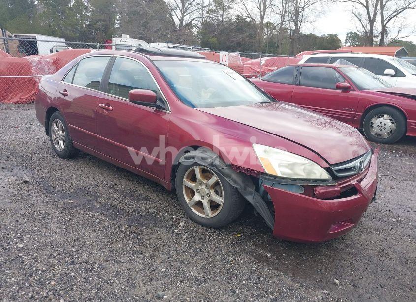 2006 Honda Accord 2.4 EX (VIN 1HGCM56806A116377) main photo