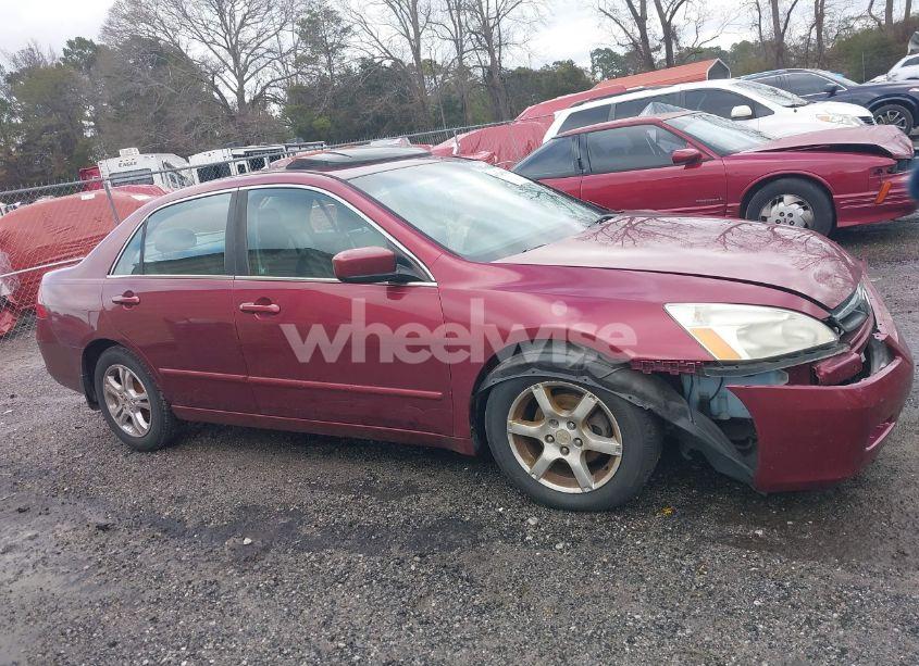 Photo 13 of 2006 Honda Accord 2.4 EX (VIN 1HGCM56806A116377)