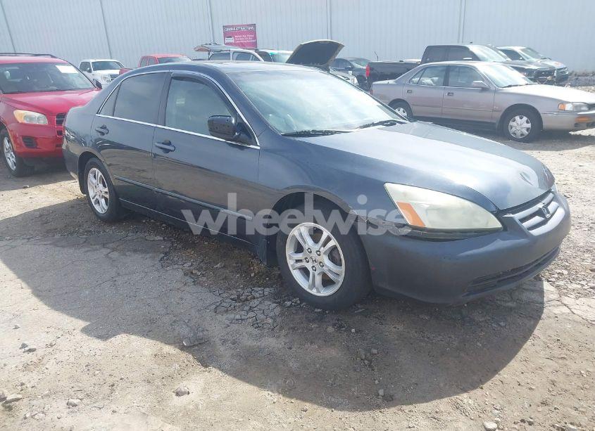 2006 Honda Accord 2.4 EX (VIN 1HGCM56816A119742) main photo