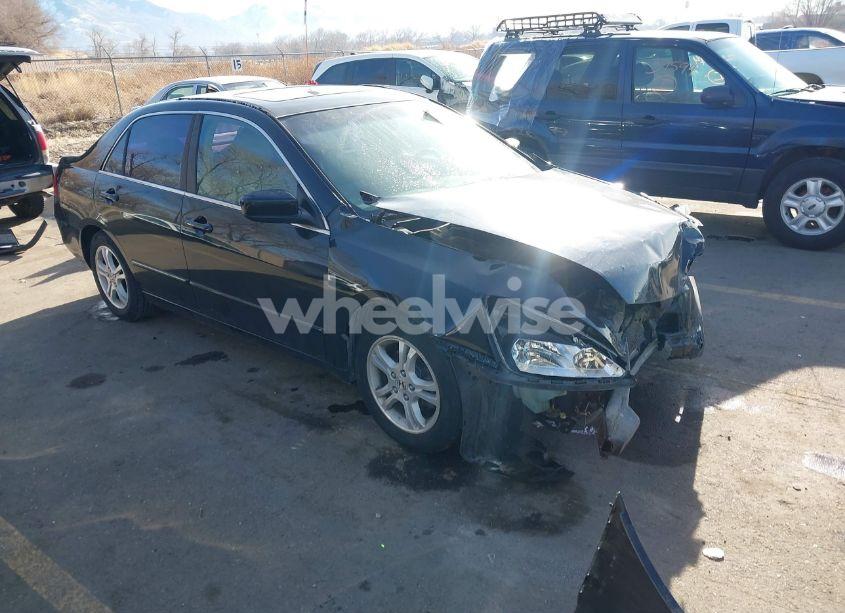 2007 Honda Accord 2.4 EX (VIN 1HGCM56837A002679) main photo