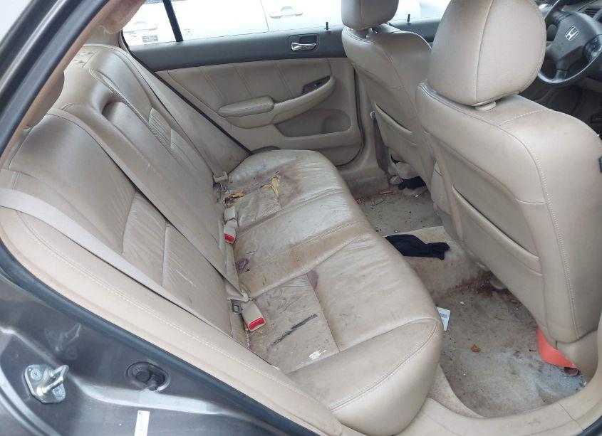 Photo 8 of 2006 Honda Accord 2.4 EX (VIN 1HGCM56846A074330)