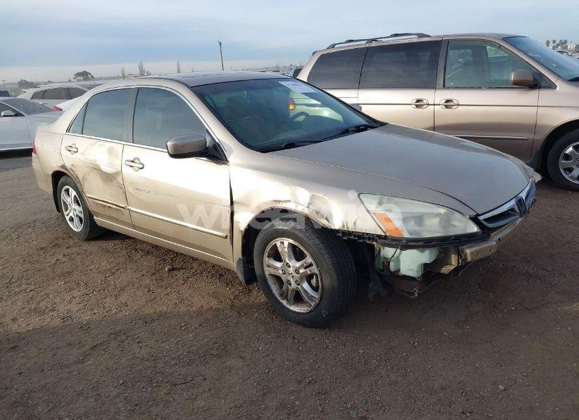 2006 Honda Accord 2.4 EX (VIN 1HGCM56856A052689) main photo