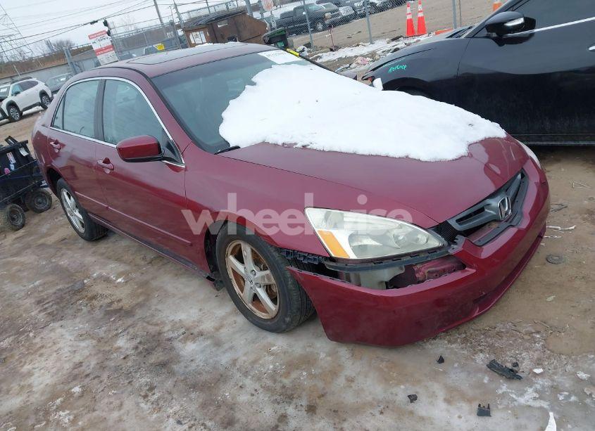 2005 Honda Accord 2.4 EX (VIN 1HGCM56875A141629) main photo