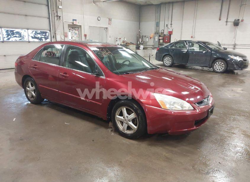2005 Honda Accord 2.4 EX (VIN 1HGCM56875A186599) main photo