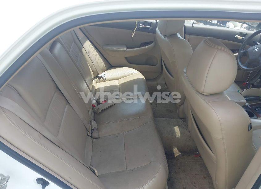 Photo 8 of 2006 Honda Accord 2.4 EX (VIN 1HGCM56876A156861)