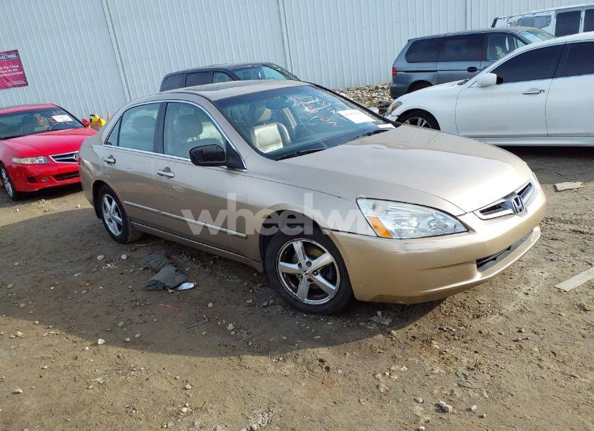 2005 Honda Accord 2.4 EX (VIN 1HGCM56885A182772) main photo