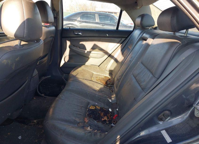 Photo 8 of 2007 Honda Accord 2.4 EX (VIN 1HGCM56887A012124)