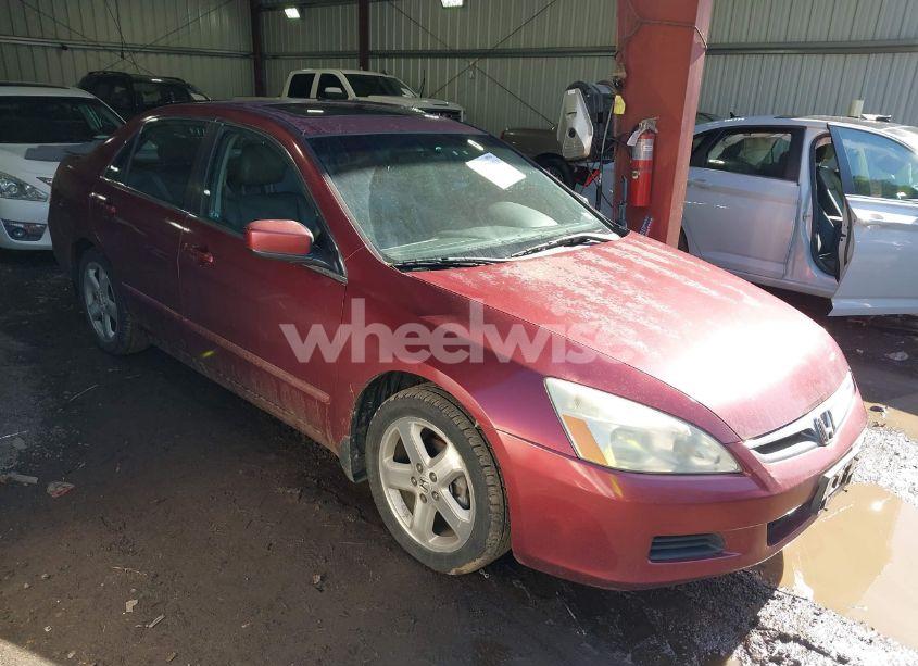 2006 Honda Accord 3.0 EX (VIN 1HGCM65896A019153) main photo