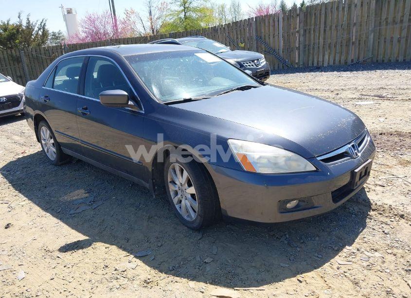 2007 Honda Accord 3.0 LX (VIN 1HGCM66317A021905) main photo