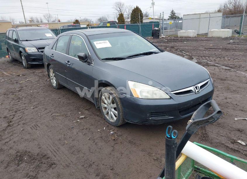 2006 Honda Accord 3.0 LX (VIN 1HGCM66336A073373) main photo