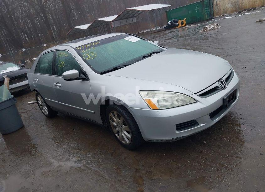 2006 Honda Accord 3.0 LX (VIN 1HGCM66346A053617) main photo