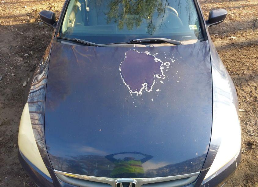 Photo 12 of 2007 Honda Accord 3.0 SE (VIN 1HGCM66427A040570)