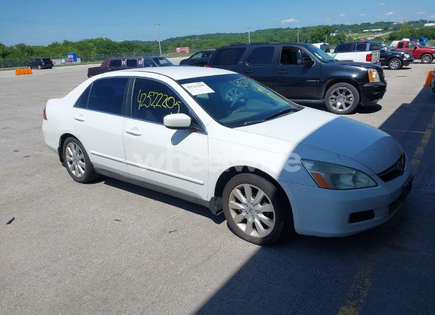 2007 Honda Accord SDN LX SE (VIN 1HGCM66467A069473) main photo