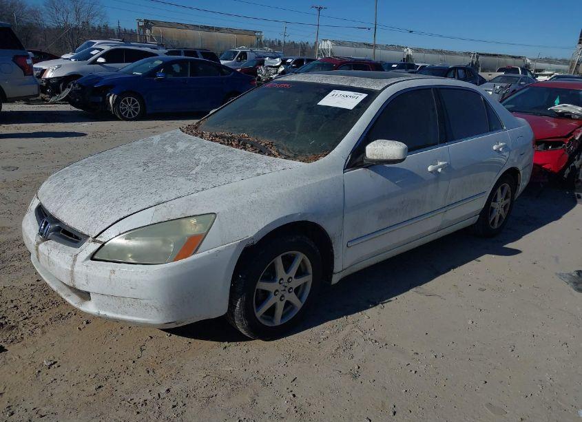 Photo 2 of 2003 Honda Accord 3.0 EX (VIN 1HGCM66503A089897)