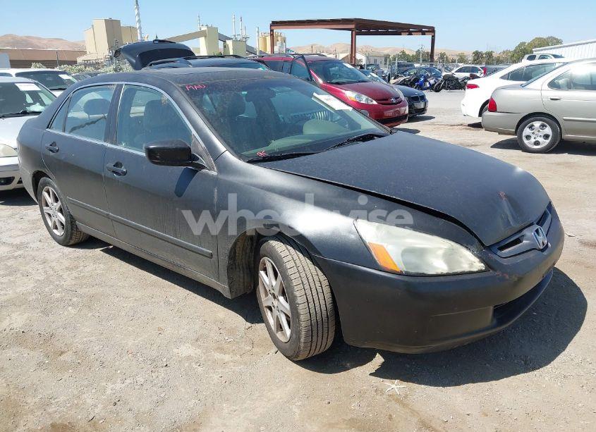 2004 Honda Accord 3.0 EX (VIN 1HGCM66504A080974) main photo
