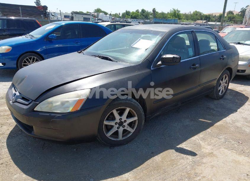 Photo 2 of 2004 Honda Accord 3.0 EX (VIN 1HGCM66504A080974)