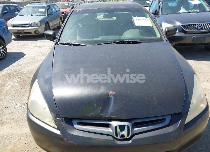 Photo 6 of 2004 Honda Accord 3.0 EX (VIN 1HGCM66504A080974)