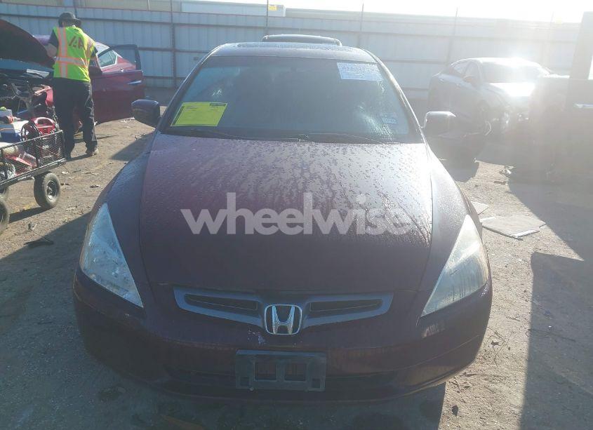 Photo 13 of 2004 Honda Accord 3.0 EX (VIN 1HGCM66504A095331)