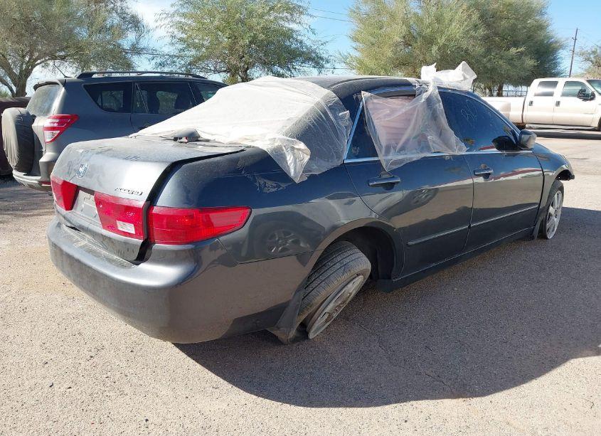 Photo 4 of 2005 Honda Accord 3.0 EX (VIN 1HGCM66505A011879)