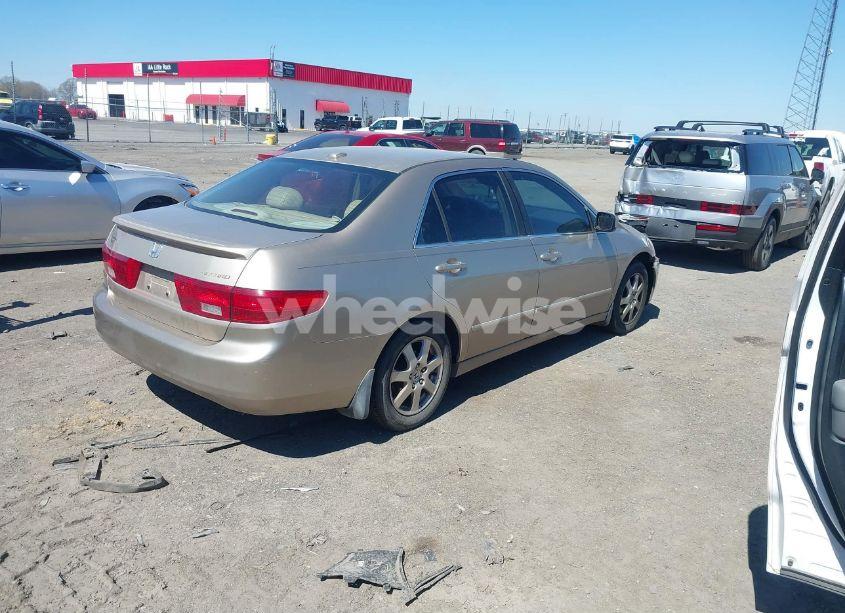 Photo 4 of 2005 Honda Accord 3.0 EX (VIN 1HGCM66505A012871)