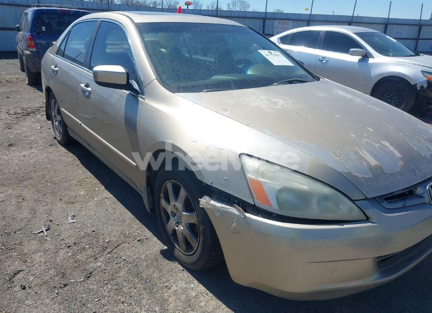 Photo 6 of 2005 Honda Accord 3.0 EX (VIN 1HGCM66505A012871)