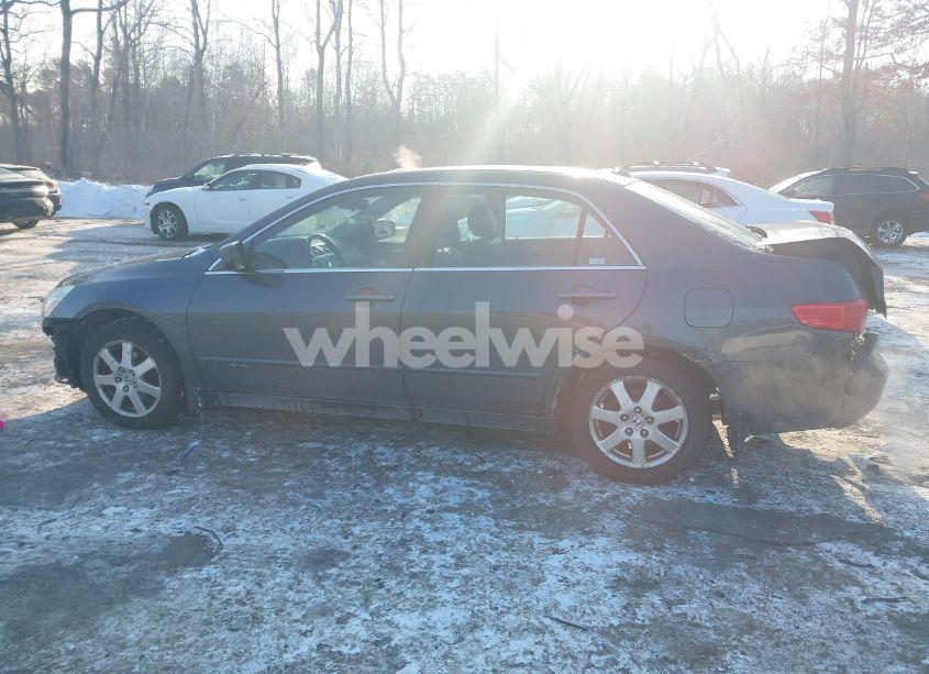 Photo 14 of 2005 Honda Accord 3.0 EX (VIN 1HGCM66505A037348)