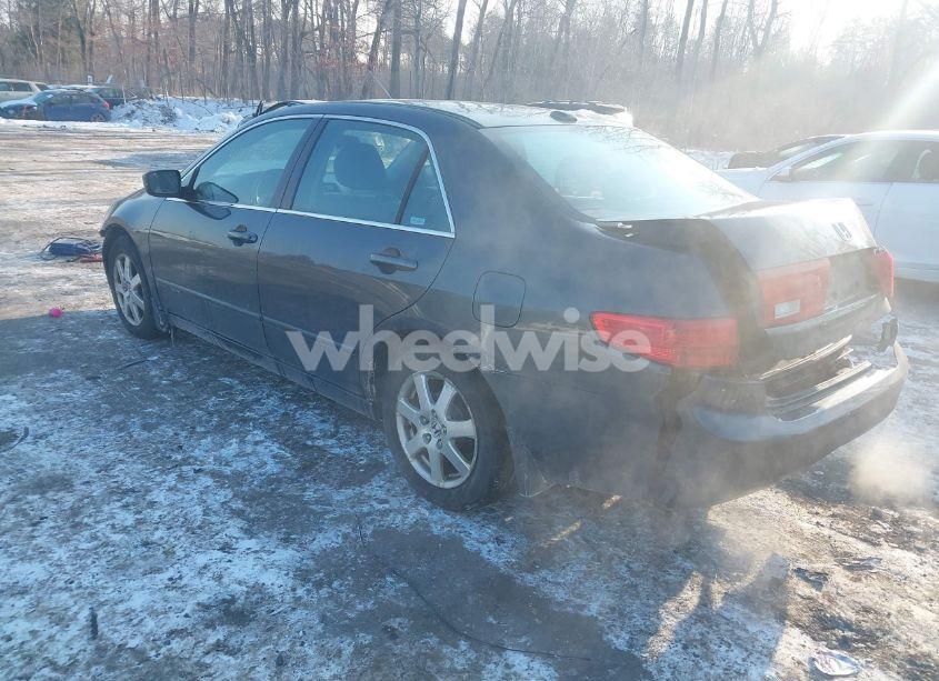 Photo 3 of 2005 Honda Accord 3.0 EX (VIN 1HGCM66505A037348)
