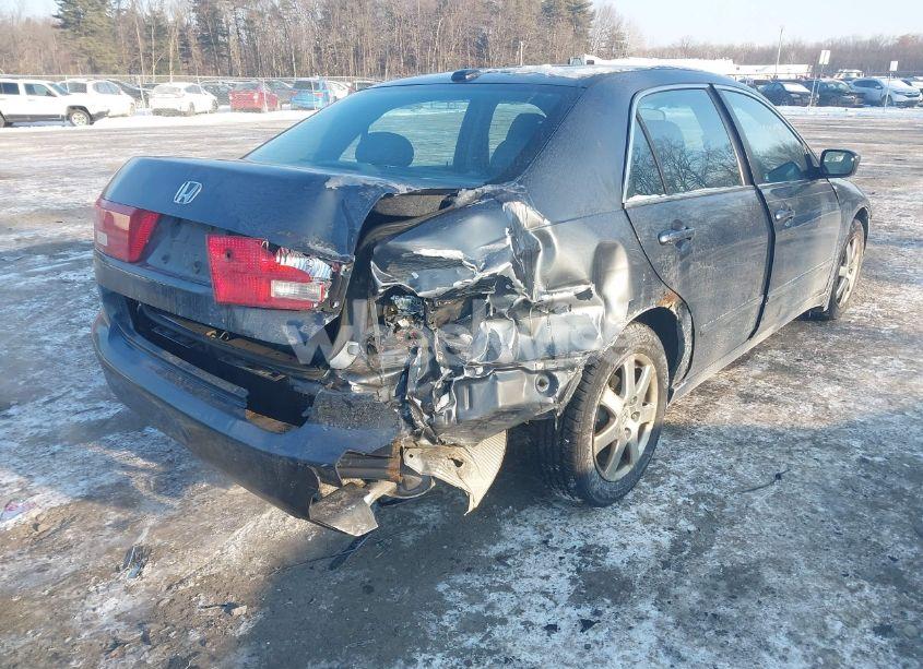 Photo 4 of 2005 Honda Accord 3.0 EX (VIN 1HGCM66505A037348)