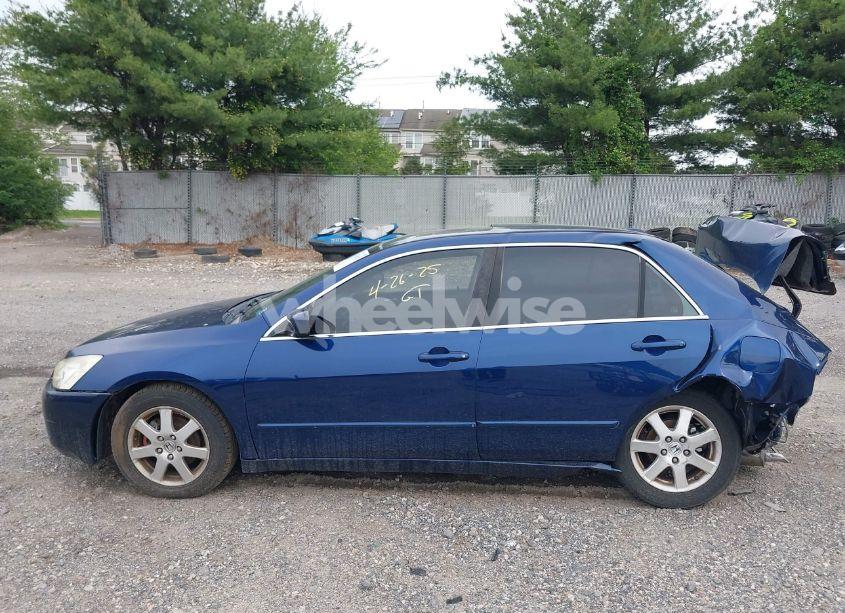 Photo 14 of 2005 Honda Accord 3.0 EX (VIN 1HGCM66505A042551)