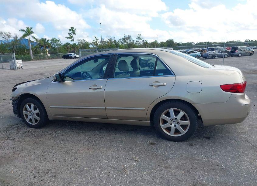 Photo 14 of 2005 Honda Accord 3.0 EX (VIN 1HGCM66505A055350)