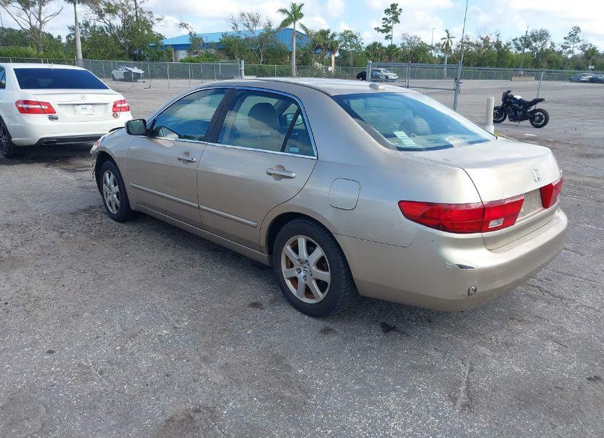 Photo 3 of 2005 Honda Accord 3.0 EX (VIN 1HGCM66505A055350)