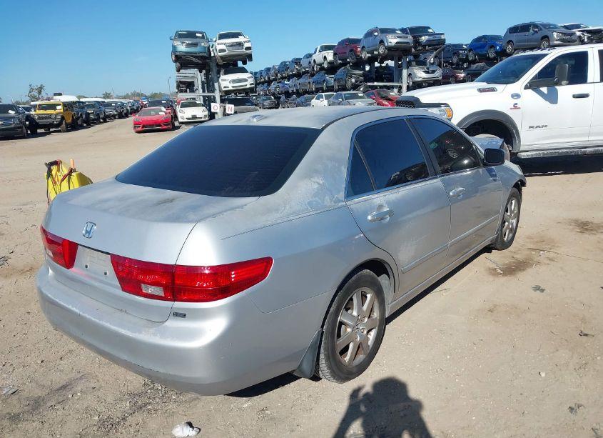 Photo 4 of 2005 Honda Accord 3.0 EX (VIN 1HGCM66505A065800)
