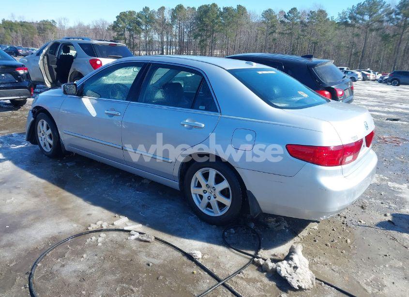 Photo 3 of 2005 Honda Accord 3.0 EX (VIN 1HGCM66505A070303)