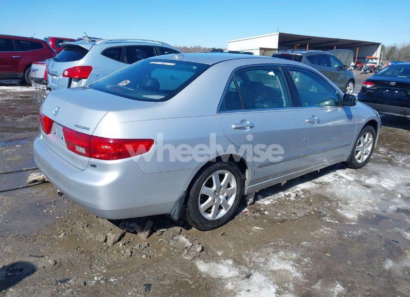 Photo 4 of 2005 Honda Accord 3.0 EX (VIN 1HGCM66505A070303)
