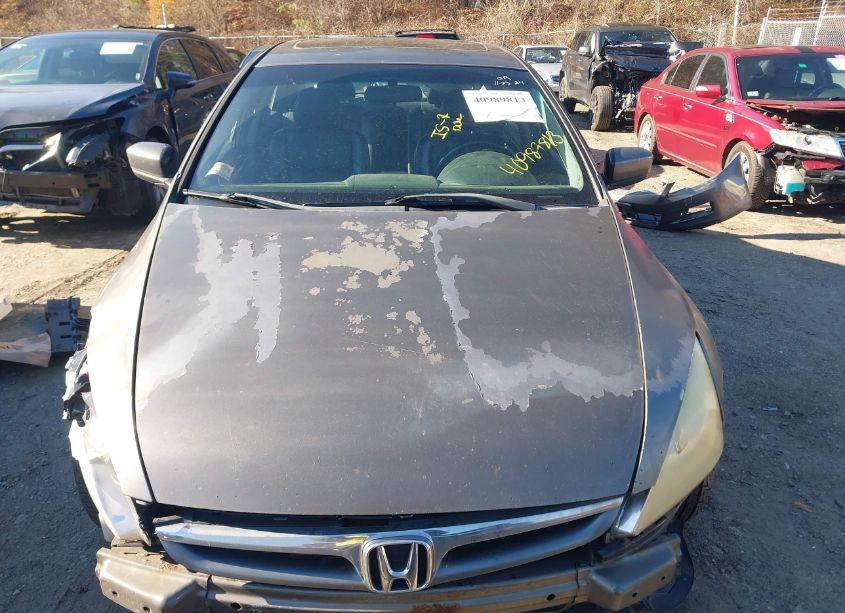 Photo 13 of 2006 Honda Accord 3.0 EX (VIN 1HGCM66506A028618)