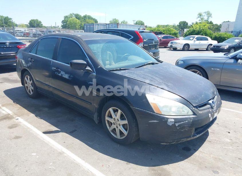 2003 Honda Accord 3.0 EX (VIN 1HGCM66513A027795) main photo