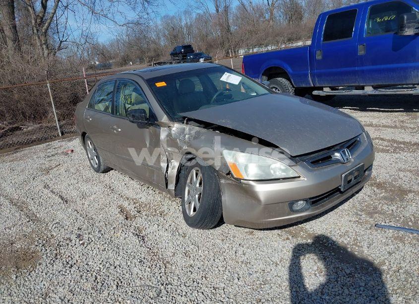 2003 Honda Accord 3.0 EX (VIN 1HGCM66513A069593) main photo