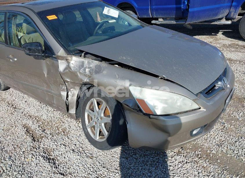 Photo 6 of 2003 Honda Accord 3.0 EX (VIN 1HGCM66513A069593)