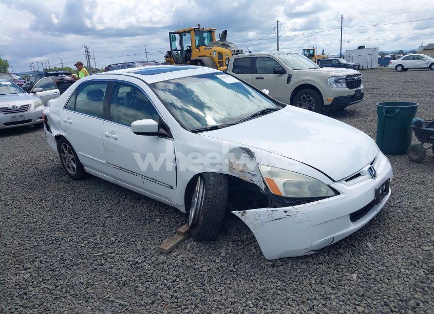 2003 Honda Accord 3.0 EX (VIN 1HGCM66513A100115) main photo