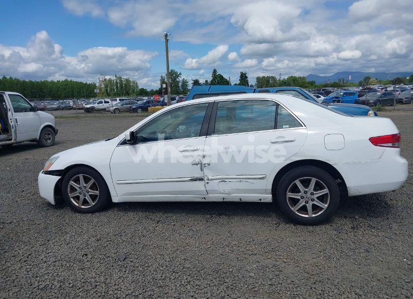 Photo 14 of 2003 Honda Accord 3.0 EX (VIN 1HGCM66513A100115)