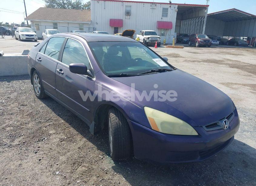 2004 Honda Accord 3.0 EX (VIN 1HGCM66514A026339) main photo