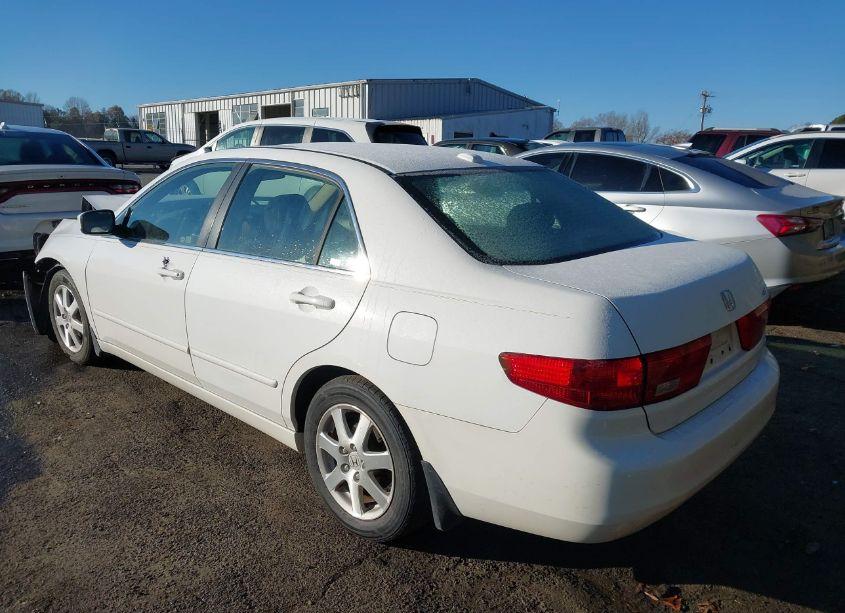 Photo 3 of 2005 Honda Accord 3.0 EX (VIN 1HGCM66515A010739)