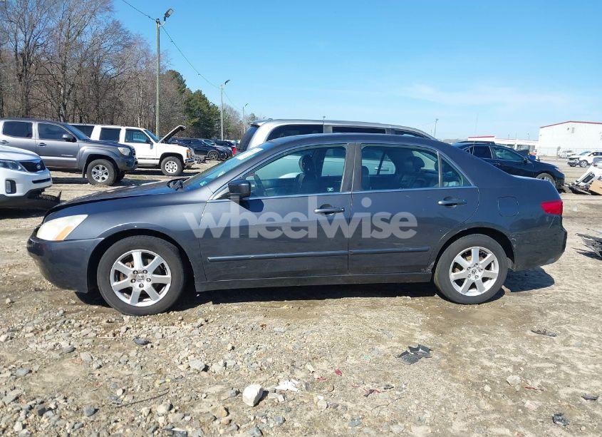 Photo 14 of 2005 Honda Accord 3.0 EX (VIN 1HGCM66515A021532)