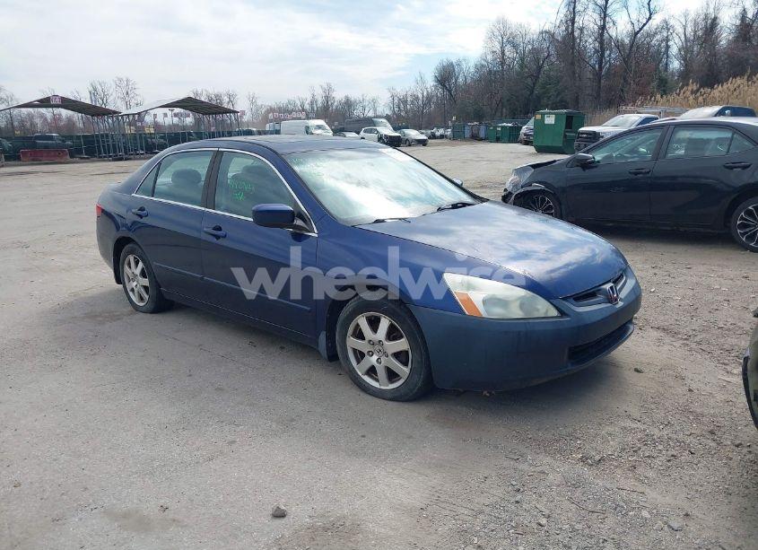 2005 Honda Accord 3.0 EX (VIN 1HGCM66515A036063) main photo