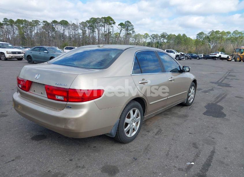 Photo 4 of 2005 Honda Accord 3.0 EX (VIN 1HGCM66515A041845)