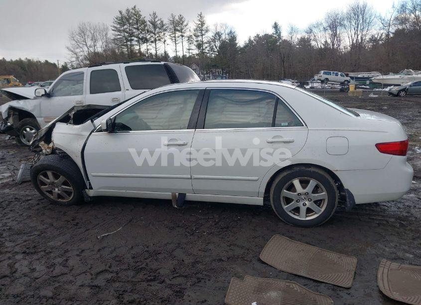 Photo 14 of 2005 Honda Accord 3.0 EX (VIN 1HGCM66515A044633)