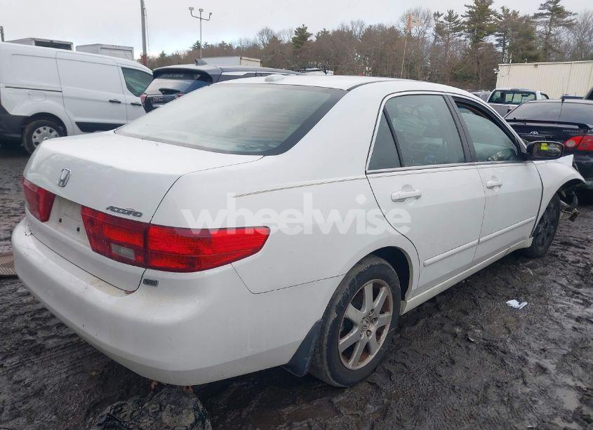 Photo 4 of 2005 Honda Accord 3.0 EX (VIN 1HGCM66515A044633)