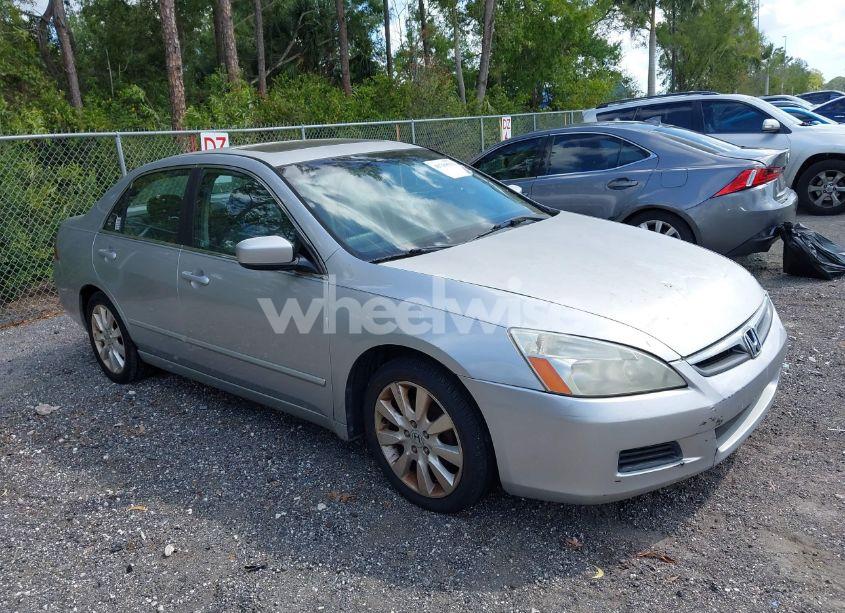 2007 Honda Accord 3.0 EX (VIN 1HGCM66517A013692) main photo